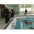 杭州市西湖區紫荊幼兒園