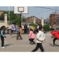 蒸湘南路小學