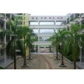 深圳市坪山新區碧嶺小學（原沙坑小學）