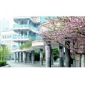 溫州瑞安市馬鞍山實驗小學