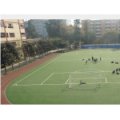 四川大學(xué)附屬實(shí)驗(yàn)小學(xué)（川大附?。?></a></dt>
      <dd>
      <p><a href=