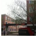 沈陽市四經(jīng)街第一小學(xué)（四經(jīng)街一?。?></a></dt>
      <dd>
      <p><a href=