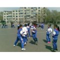 沈陽市鐵西區工人村第一小學（工人村一?。?></a></dt>
<dd>
<p><a href=